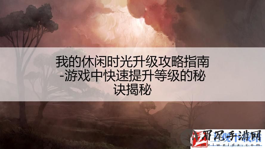 我的休闲时光升级攻略指南