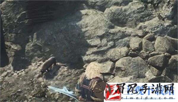 龙之信条2金刚石位置推荐