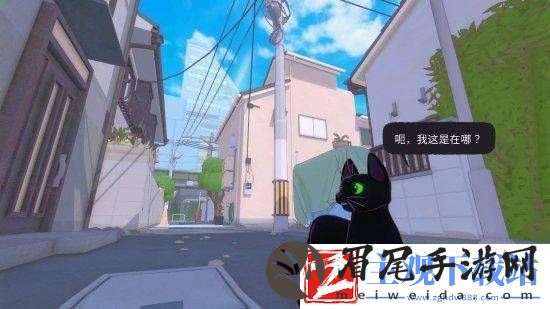 小猫咪大城市游戏在何处找呢-小猫咪大城市游戏在何处找详细介绍一览