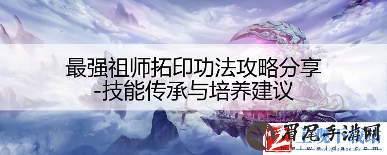 最强祖师拓印功法攻略分享-技能传承与培养建议