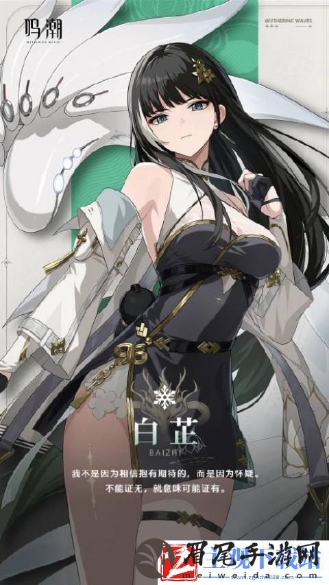 鸣潮白芷声骸怎么搭配