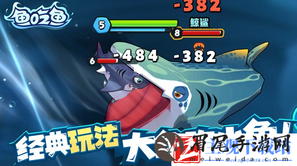 《鱼吃鱼》快速获取钻石方法攻略