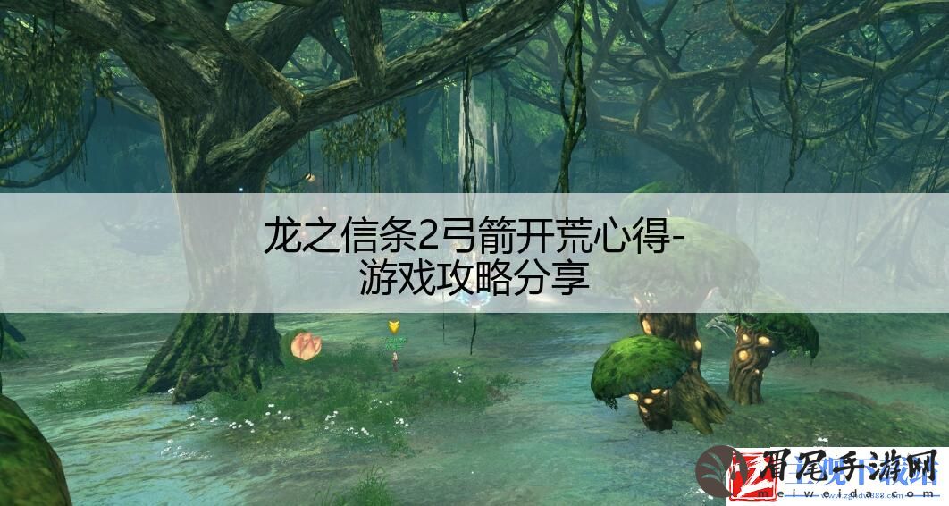 龙之信条2弓箭开荒心得