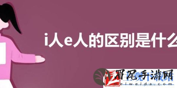 e人和i人是什么意思
