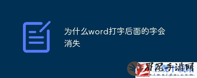 word打字后面的字消失