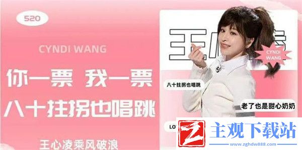 抖音王心凌男孩是什么梗