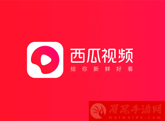 西瓜视频影视授权怎么弄