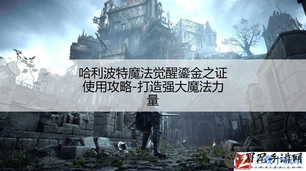 哈利波特魔法觉醒鎏金之证使用攻略-打造强大魔法力量