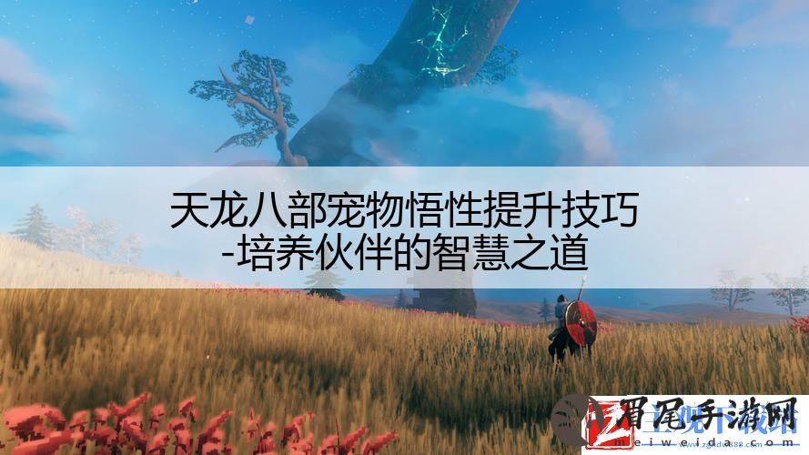 天龙八部宠物悟性提升技巧