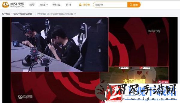 RSG再度斩获周冠！4AM状态爆棚险些极限追分成功-距周冠仅差一步之遥