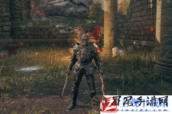 《艾尔登法环》最好用的套装有哪些