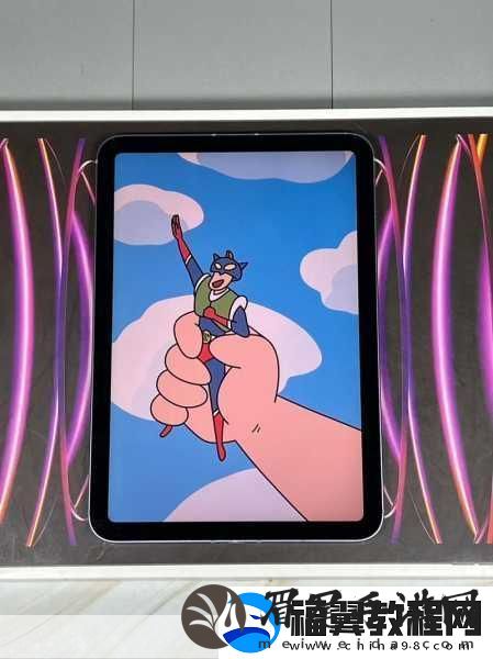 如何确保mini6的秘密入口安全