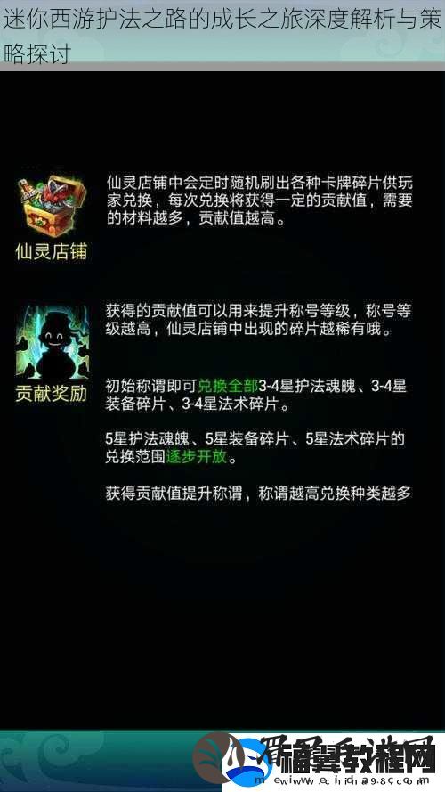 迷你西游护法之路的成长之旅深度解析与策略探讨