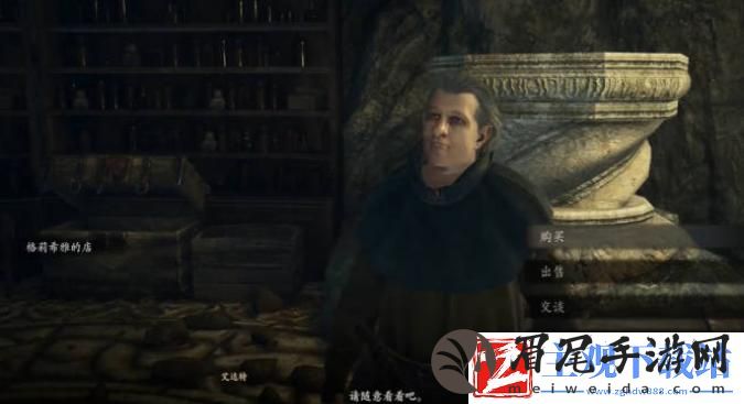 龙之信条2全能灵药在哪买
