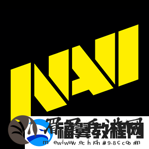 回顾2024：新星闪耀传奇背后的变革与挑战