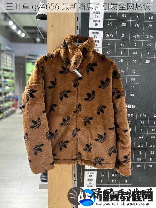 三叶草