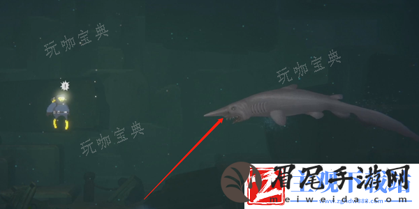 《潜水员戴夫》哥布林鲨鱼怎么抓