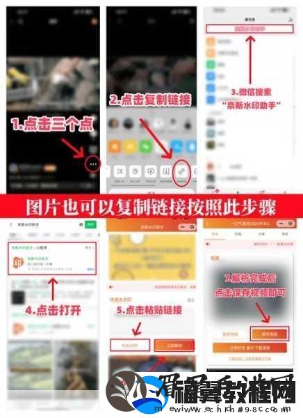 无需下载直接进入的站的代码