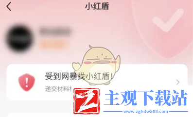 小红书开启小红盾方法
