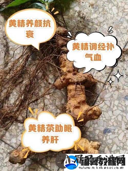 女人的**有什么作用