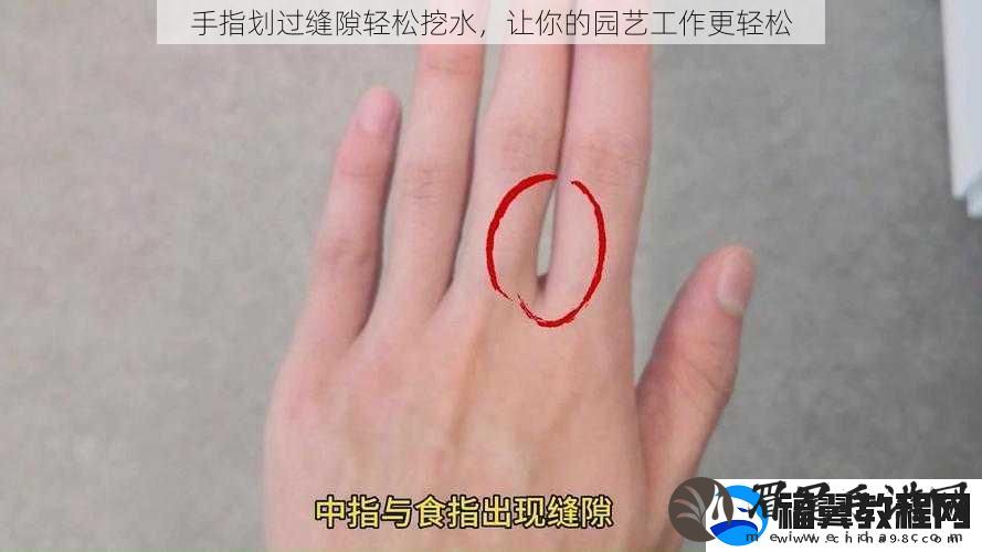 手指划过缝隙轻松挖水-让你的园艺工作更轻松