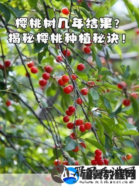 樱桃cherry官：当然可以！以下是一些基于樱桃Cherry官内容的标题建议每个都不少于10个字：