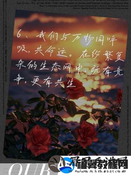 人与动物ppt免费模板大全将开拓国内市场