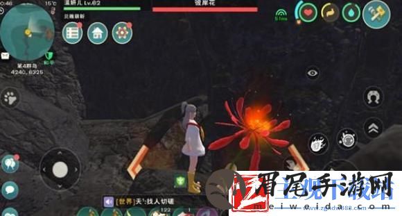 创造与魔法彼岸花怎么采集