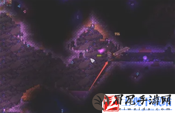 泰拉瑞亚白龙坐骑怎么获得