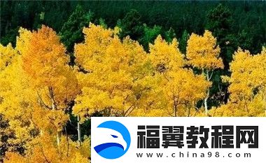 大地资源电影第三页评测