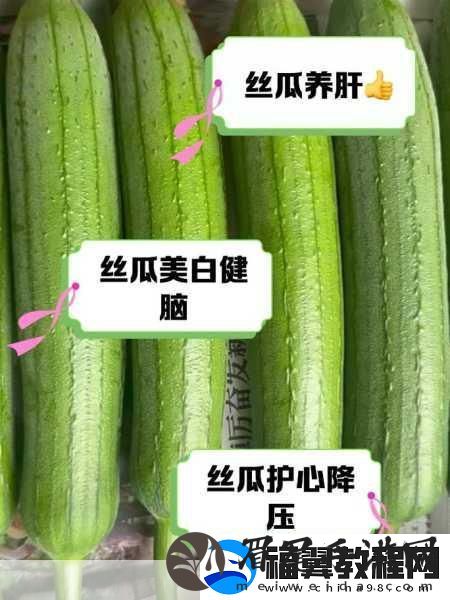 丝瓜草莓视频app：当然可以！以下是一些根据丝瓜草莓视频app拓展出的新