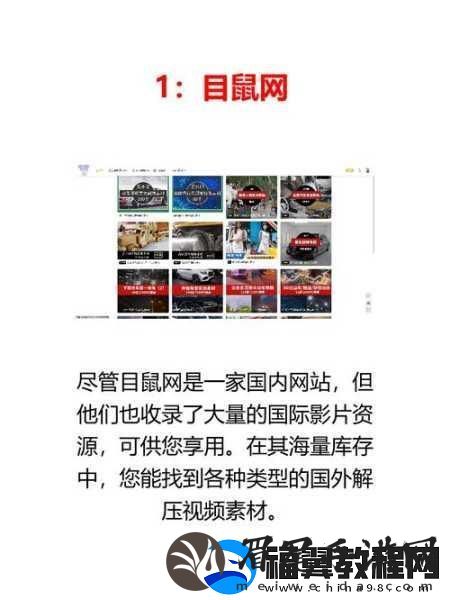 免费站入口