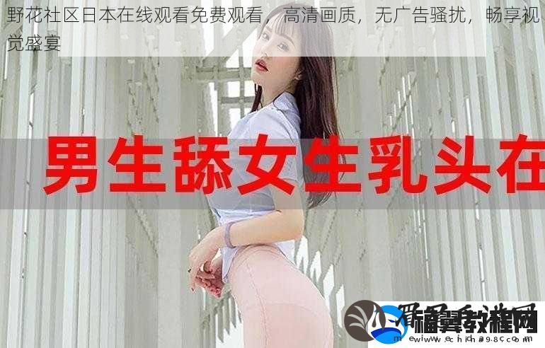 野花社区日本在线观看免费观看-高清画质-无广告骚扰-畅享视觉盛宴