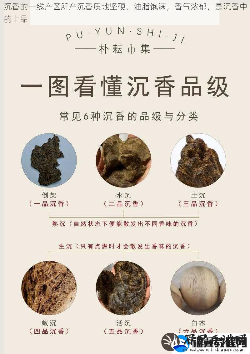 沉香的一线产区所产沉香质地坚硬、油脂饱满