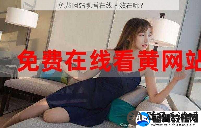 免费站观看在线人数在哪