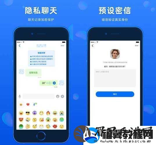 插逼应用：满足用户需求的私密工具