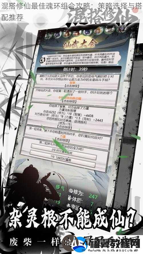 混搭修仙最佳魂环组合攻略：策略选择与搭配推荐