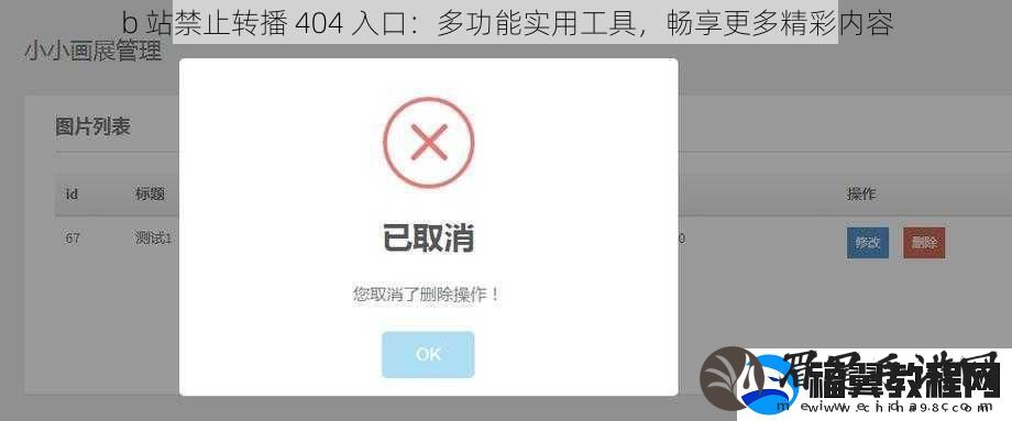 b-站禁止转播-404-入口：多功能实用工具-畅享更多精彩内容