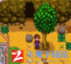 星露谷物语农场山洞怎么玩