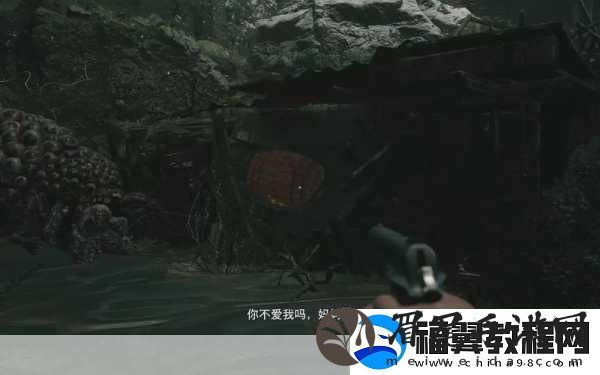 生化危机8诡影难度-揭秘各BOSS惊人血量数据