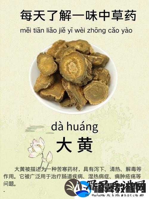 中国一级黄的独特魅力与价值呈现