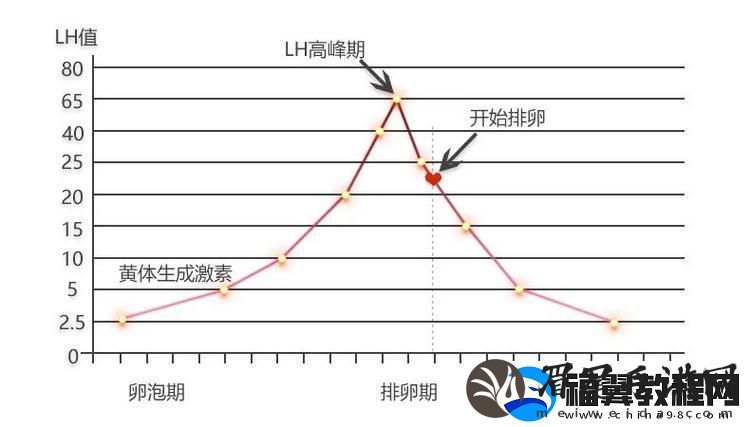 高能粒子碰撞