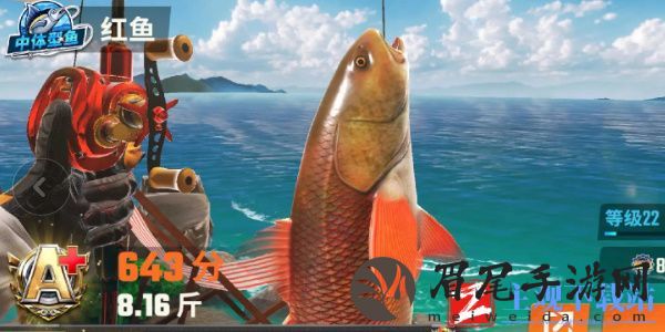 欢乐钓鱼大师鱼类有哪些