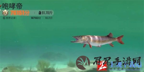 欢乐钓鱼大师咆哮帝钓鱼技巧-欢乐钓鱼大师咆哮帝怎么钓