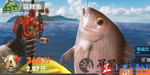 欢乐钓鱼大师鱼类有哪些