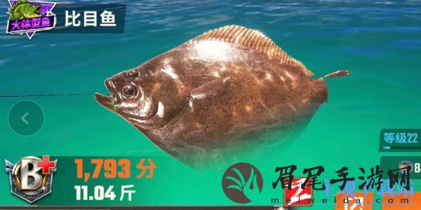 欢乐钓鱼大师鱼类有哪些