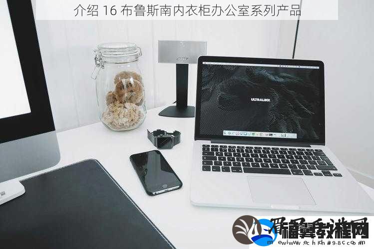 介绍-16-布鲁斯南内衣柜办公室系列产品
