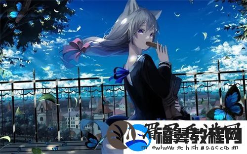 DW成品站成品视频教学JK