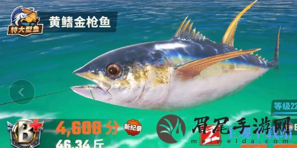 欢乐钓鱼大师鱼类有哪些