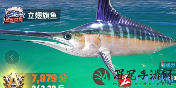 欢乐钓鱼大师鱼类有哪些